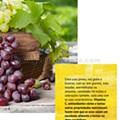 Antevisão Folheto LIDL Especial Portugal Promoções a partir de 14 setembro p13.jpg